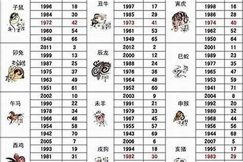 49岁属什么生肖2023|2023年生肖表 2023年生肖表图